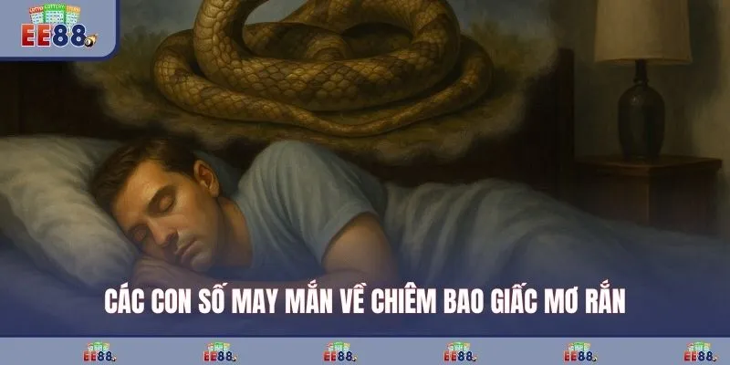 Các con số may mắn về chiêm bao giấc mơ rắn